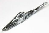 Very Lustrous, Metallic Stibnite Crystals - Jiangxi, China #182593-2